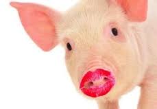 Weston Title & Escrow recommends not just put lipstick on the pig: Before showing the home begins take a good look around you. 